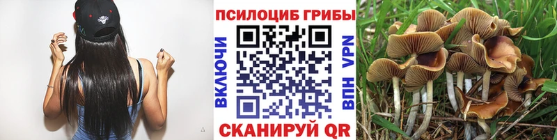 Галлюциногенные грибы Magic Shrooms ОМГ ОМГ как войти Волжск